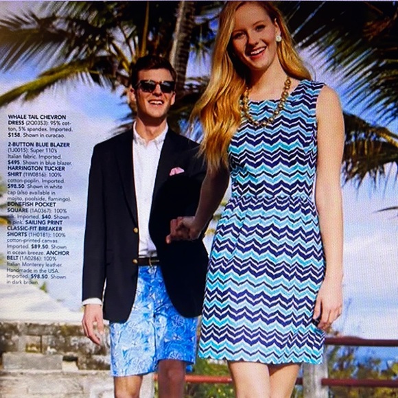 Vineyard Vines Whale Tale Chevron Dress Size 4 - Picture 1 of 7